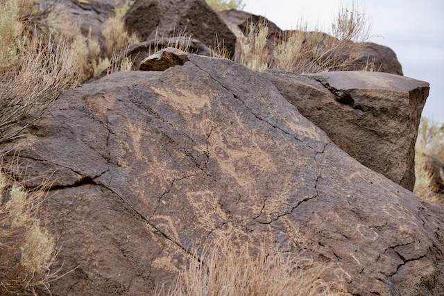 TTT-Petroglyph-NM-Piedras-Marcadas-Canyon-03
