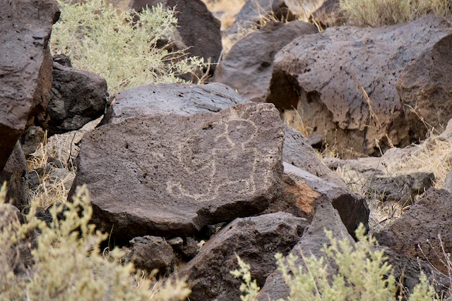 TTT-Petroglyph-NM-Rinconada-Canyon-Trail-05