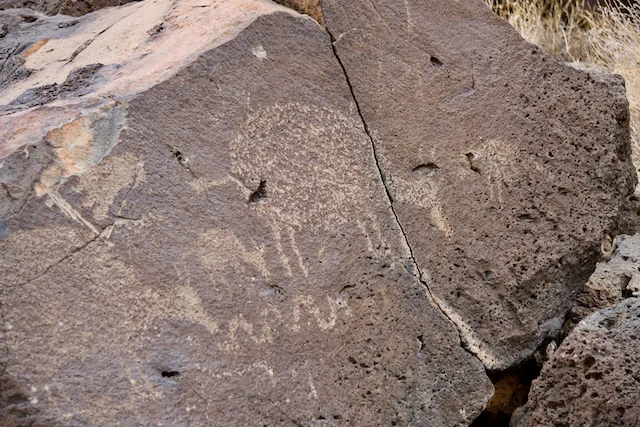 TTT-Petroglyph-NM-Rinconada-Canyon-Trail-10