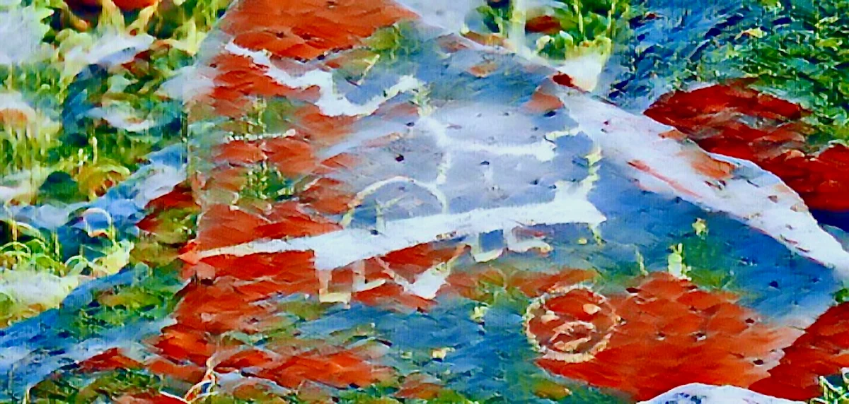 Petroglyphs NM, Albuquerque’s Ancient Canvas