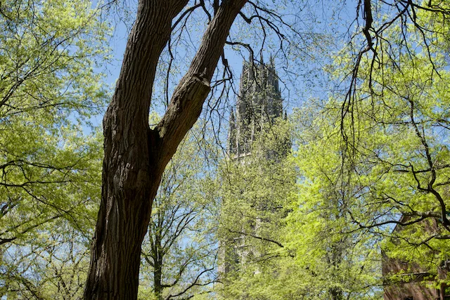 TTT-Yale-University-New-Haven-CT-Harkness-Tower-07