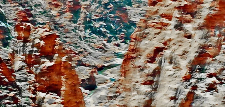 Canyons of the Ancients National Monument 