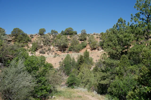 TTT-McPhee-Overlook-Trail-Dolores-CO-02