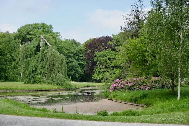 TTT-Estates-Clingendael-Oosterbeek-01
