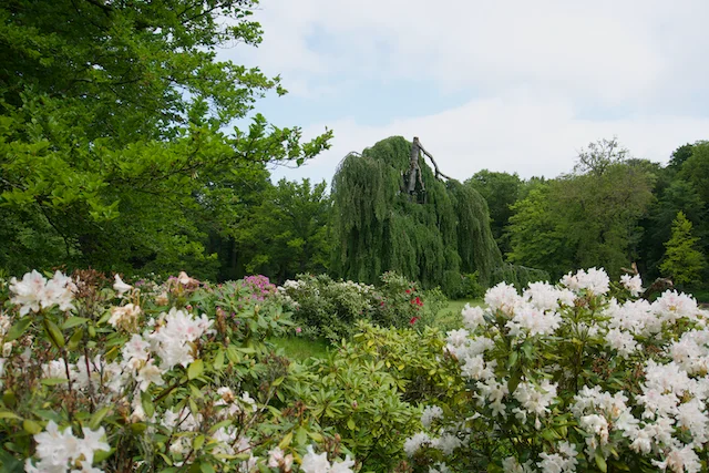TTT-Estates-Clingendael-Oosterbeek-02