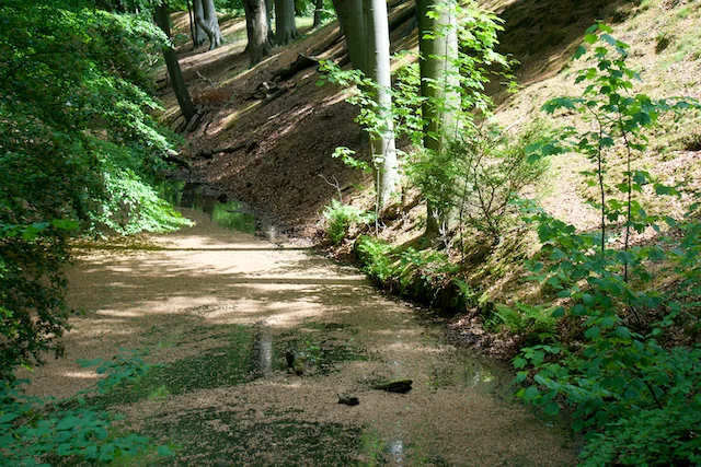 TTT-Estates-Clingendael-Oosterbeek-10