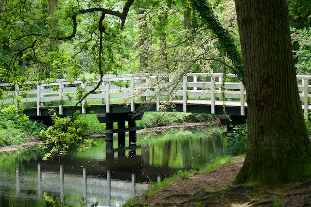TTT-Estates-Clingendael-Oosterbeek-11