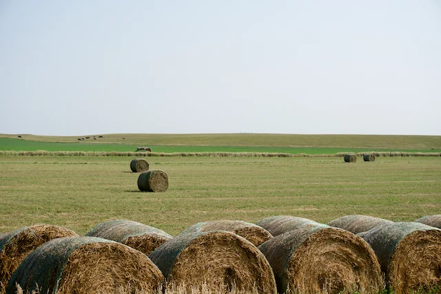 TTT-Hay-Springs-NE-04