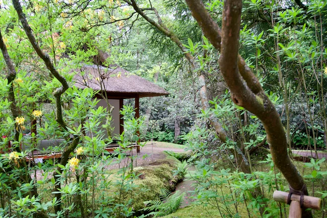 TTT-Japanese-Garden-Clingendael-03