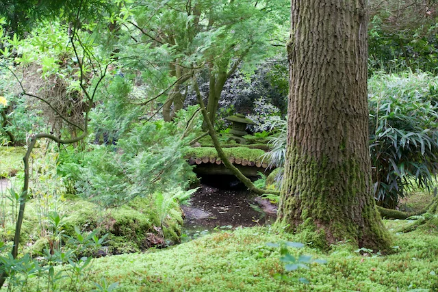 TTT-Japanese-Garden-Clingendael-05