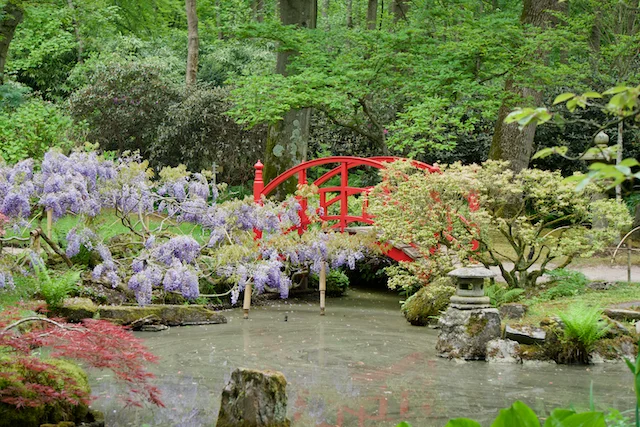TTT-Japanese-Garden-Clingendael-06