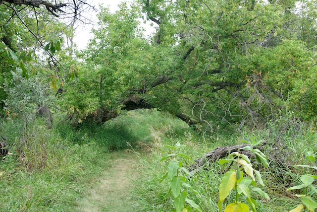TTT-Lake-Sakakawea-SP-05