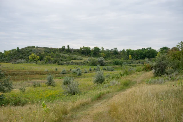 TTT-Lake-Sakakawea-SP-06