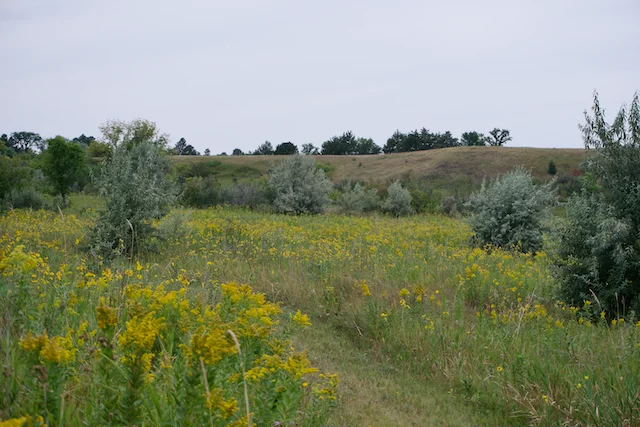 TTT-Lake-Sakakawea-SP-08