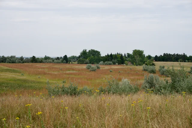 TTT-Lake-Sakakawea-SP-09