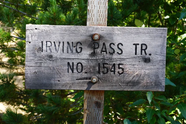 TTT-Pheasant-Creek-Road-Irving-Pass-Trail-02