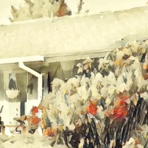 TTT-GrayLand-Cottage-DA-LR