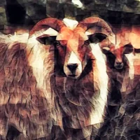 TTT-Pieterpath-Zuidlaren-DA-LR